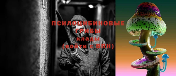 гидра Абаза