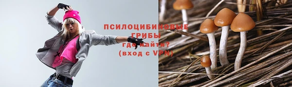 дурь Абдулино