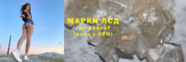 гидра Абаза