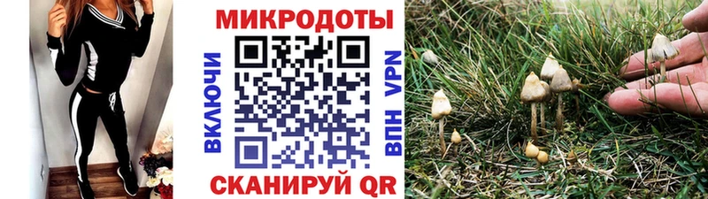 Псилоцибиновые грибы ЛСД  omg ссылка  Саратов 